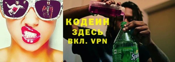 прущие грибы Белокуриха