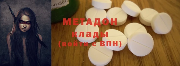 прущие грибы Белокуриха