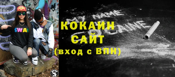 прущие грибы Белокуриха