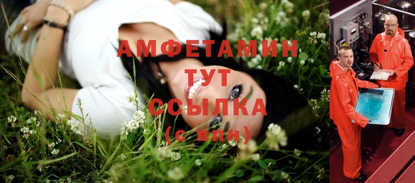 прущие грибы Белокуриха