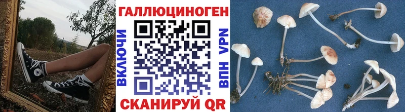 Галлюциногенные грибы GOLDEN TEACHER  где найти наркотики  Гатчина 
