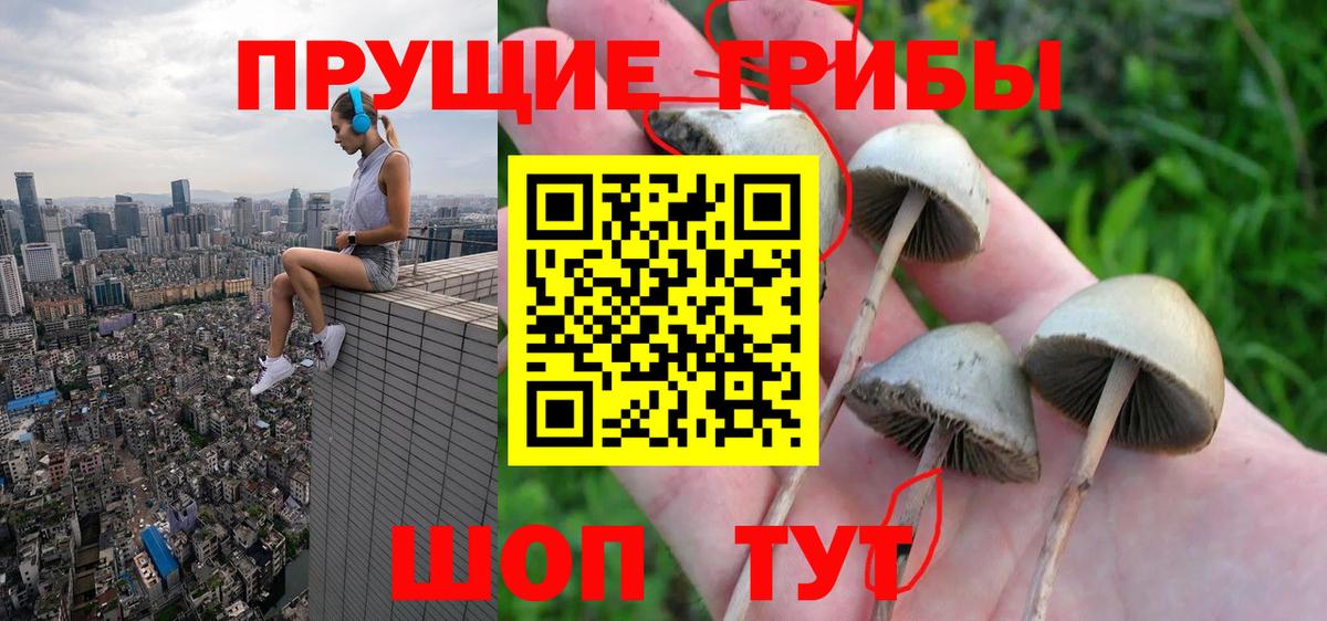Галлюциногенные грибы прущие грибы  Псилоцибиновые грибы ЛСД  Вход с VPN  Гатчина 